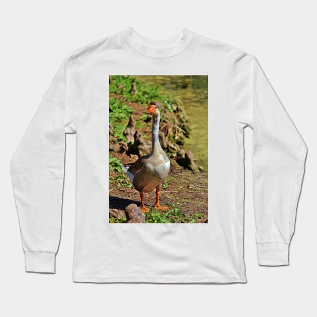 Graylag Goose Long Sleeve T-Shirt by Cynthia48